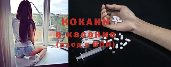 соль ск Михайлов