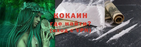 шишки Бежецк