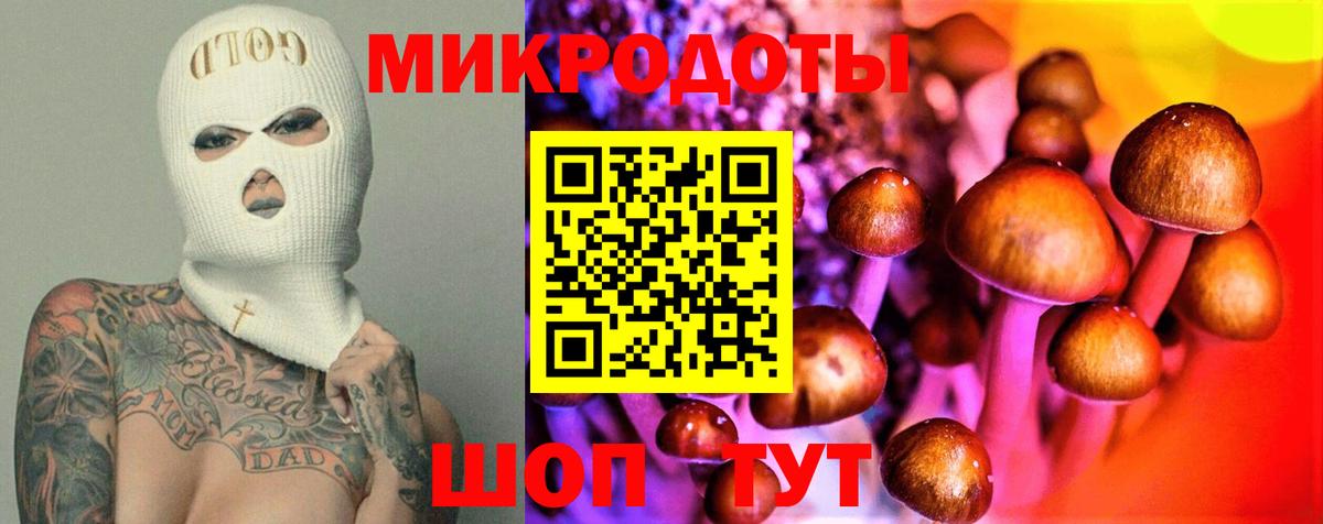 Псилоцибиновые грибы прущие грибы Карачаевск